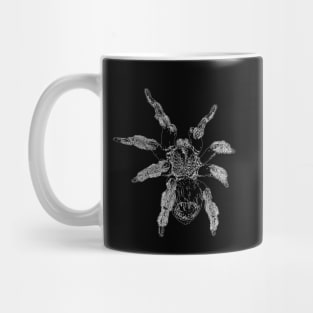 Tarantula Mug